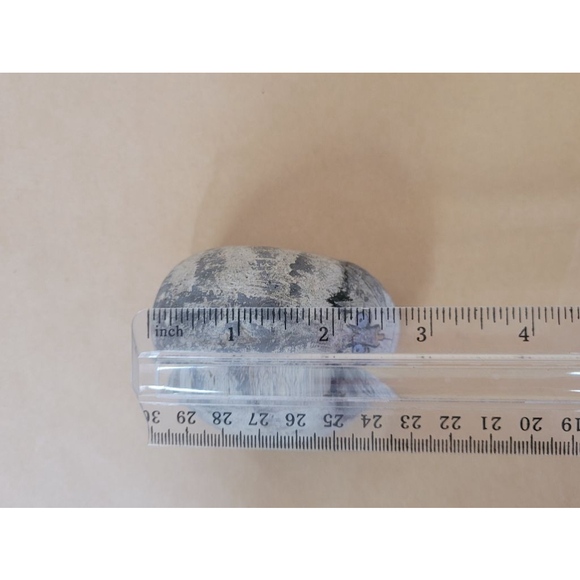 Paperweight Gray Cat Rock Painting by Sally Scott, Lexington, Mass. - Picture 8 of 9